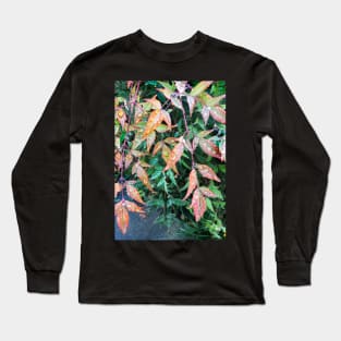 Early Morning Dew Long Sleeve T-Shirt